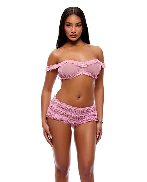 Soft Girl Era Sheer Mesh & Lace Bralette 2 pc Set